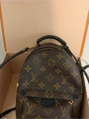 Louis Vuitton Brown Monogram Palm Springs Mini Backpack
